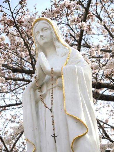 10 7 memorial our lady of the rosary