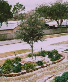 winter houston