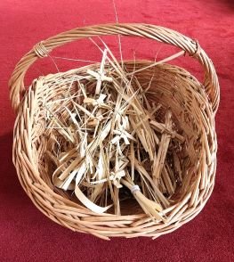 collection of prior year palms