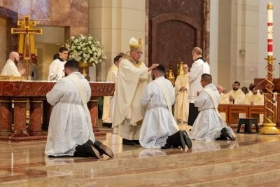 2차헌금 texas catholic herald priest ordinations 2025 1